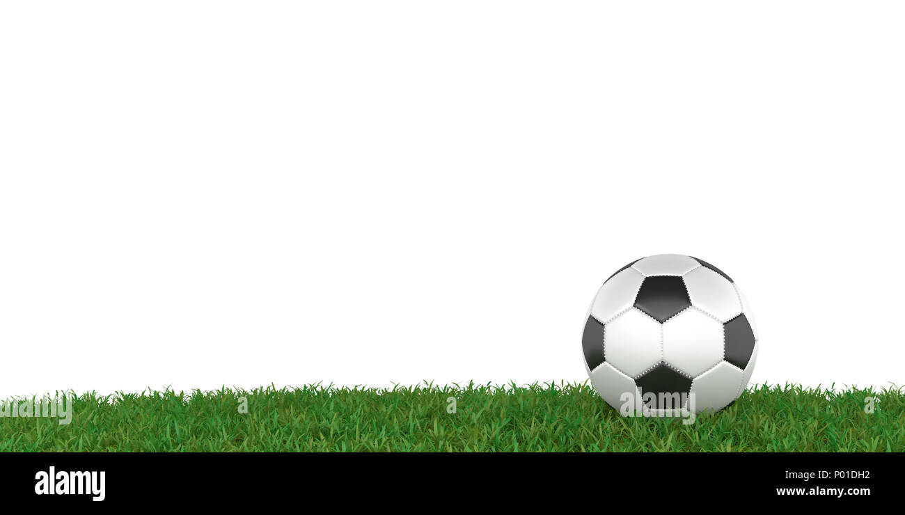 Balón de fútbol sobre el césped panorama fondo con espacio para texto, 3D  rendering Fotografía de stock - Alamy