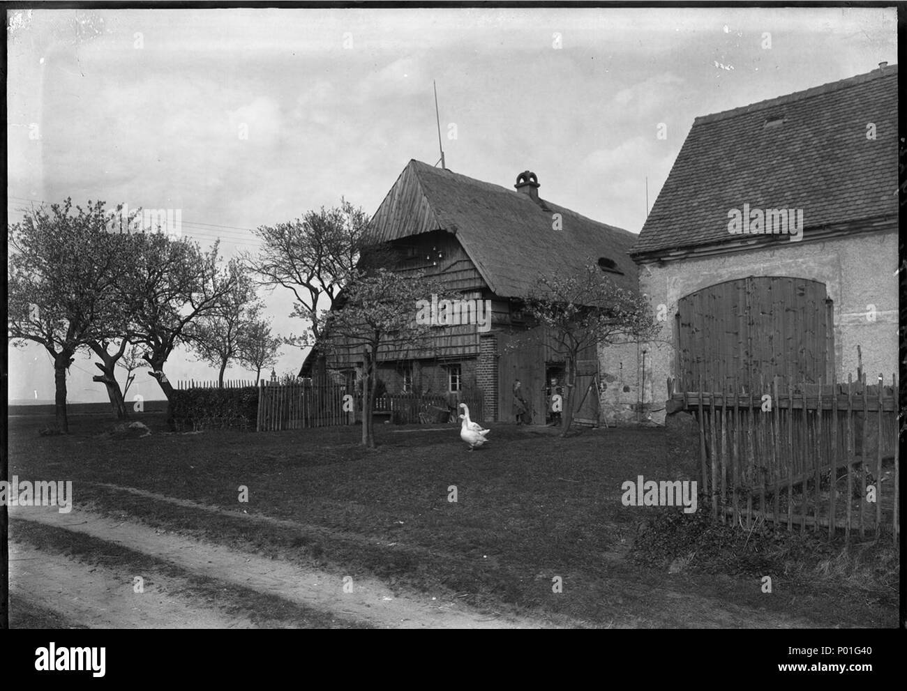 . Deutsch: Historische Aufnahme von Friedersdorf (bei Görlitz/Markersdorf) von Robert Scholz 1921 6 Robert Scholz - Friedersdorf 05 Foto de stock