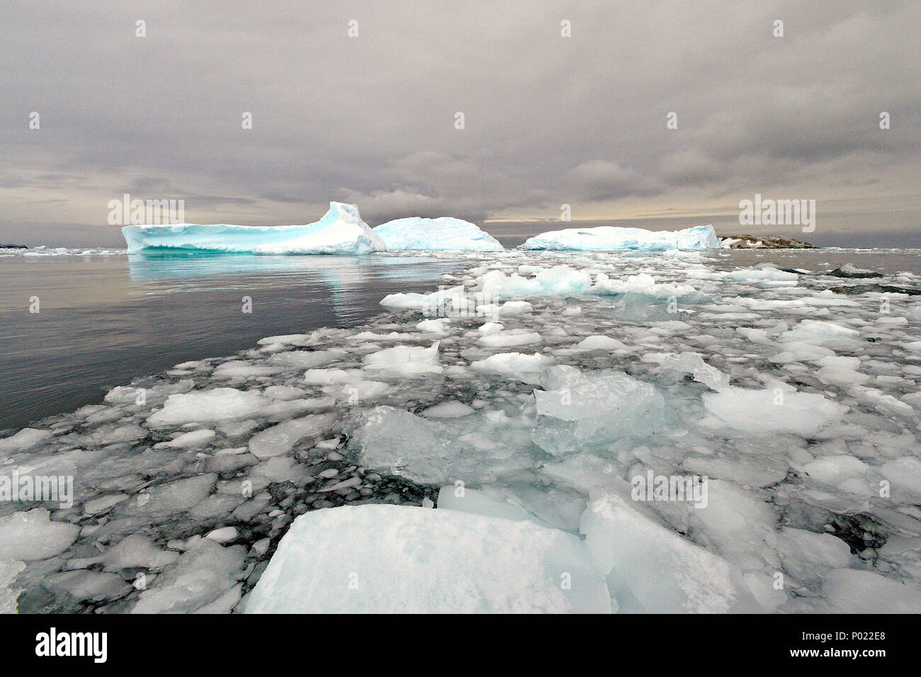 Bloques de hielo de fusión en Charlotte Bay, costa Danco Grahamland. La Antártida Foto de stock
