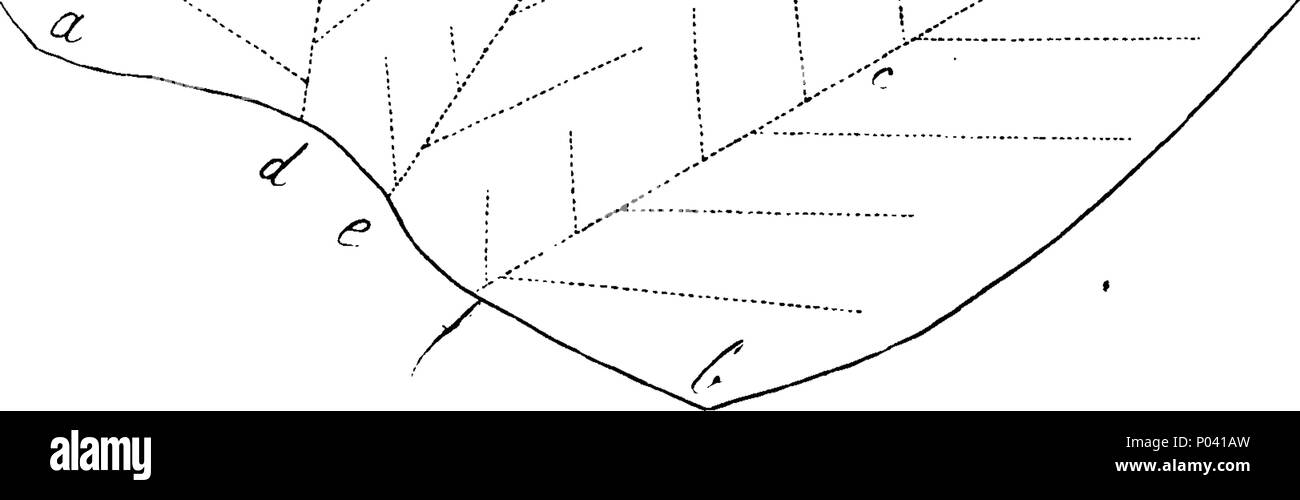 . Inglés Fleuron de libro un curso de agricultura experimental