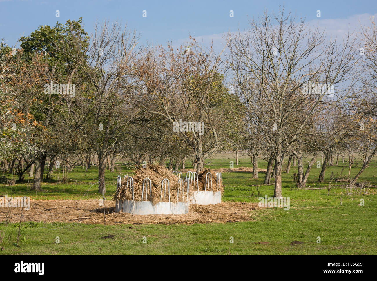 HORTOBAGY, HUNGRÍA - Octubre 31, 2015: Los alimentadores con heno para los animales en el Parque Nacional Hortobagy, Hungría Foto de stock