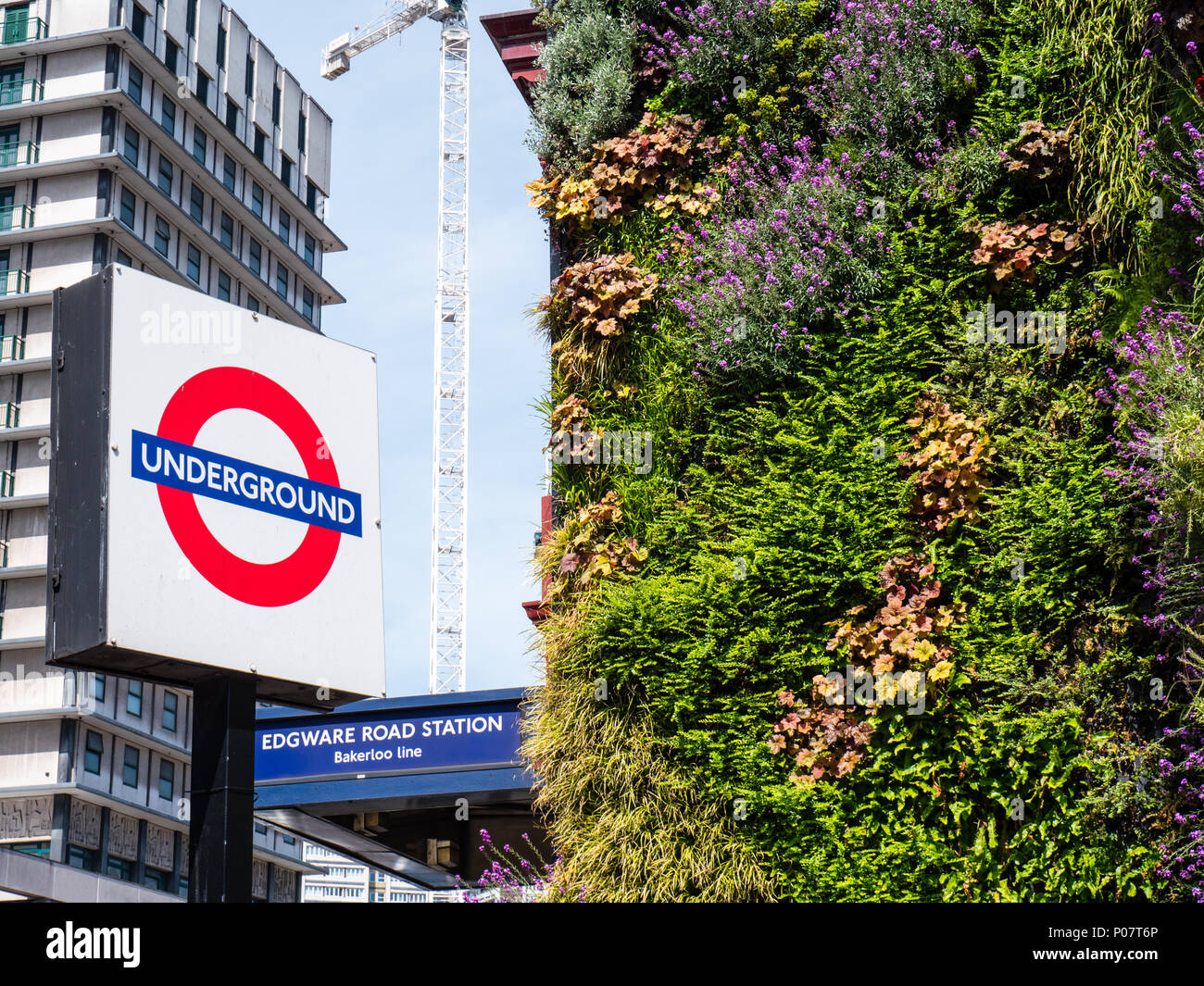 La estación de metro Edgware Road de Londres, con paredes verdes para reducir la contaminación del aire, Londres, Inglaterra, Reino Unido, GB. Foto de stock