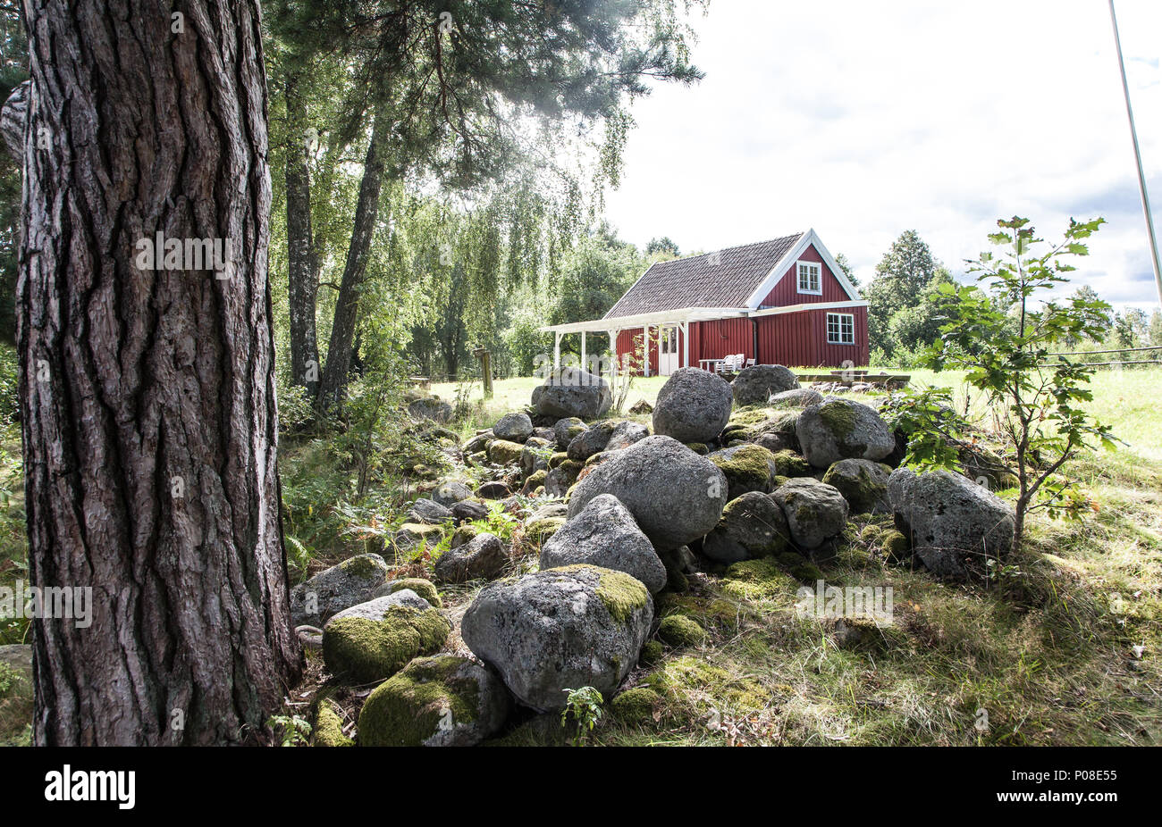 Blick vom Ferienhaus, Stuga, en Smaland Schweden Lago Naturschutzgebiet Asenen im Foto de stock