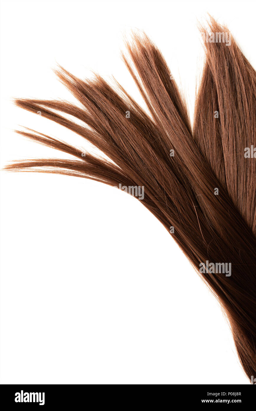 Largo pelo marrón sobre fondo blanco. Foto de stock