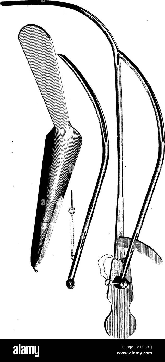 . Inglés Fleuron de libro un apéndice de un tratado sobre el