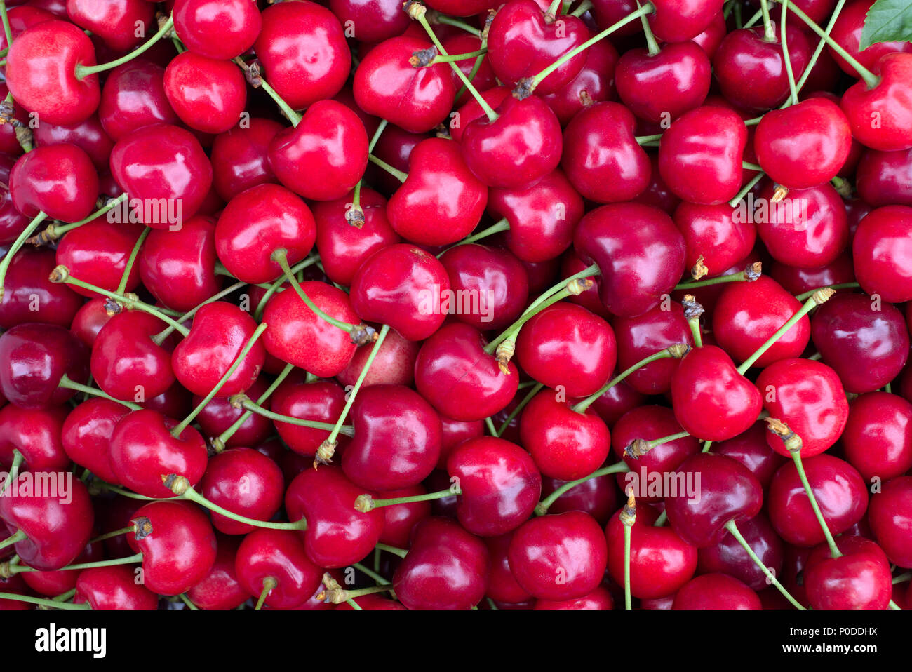 Cherry merry berry closep Foto de stock
