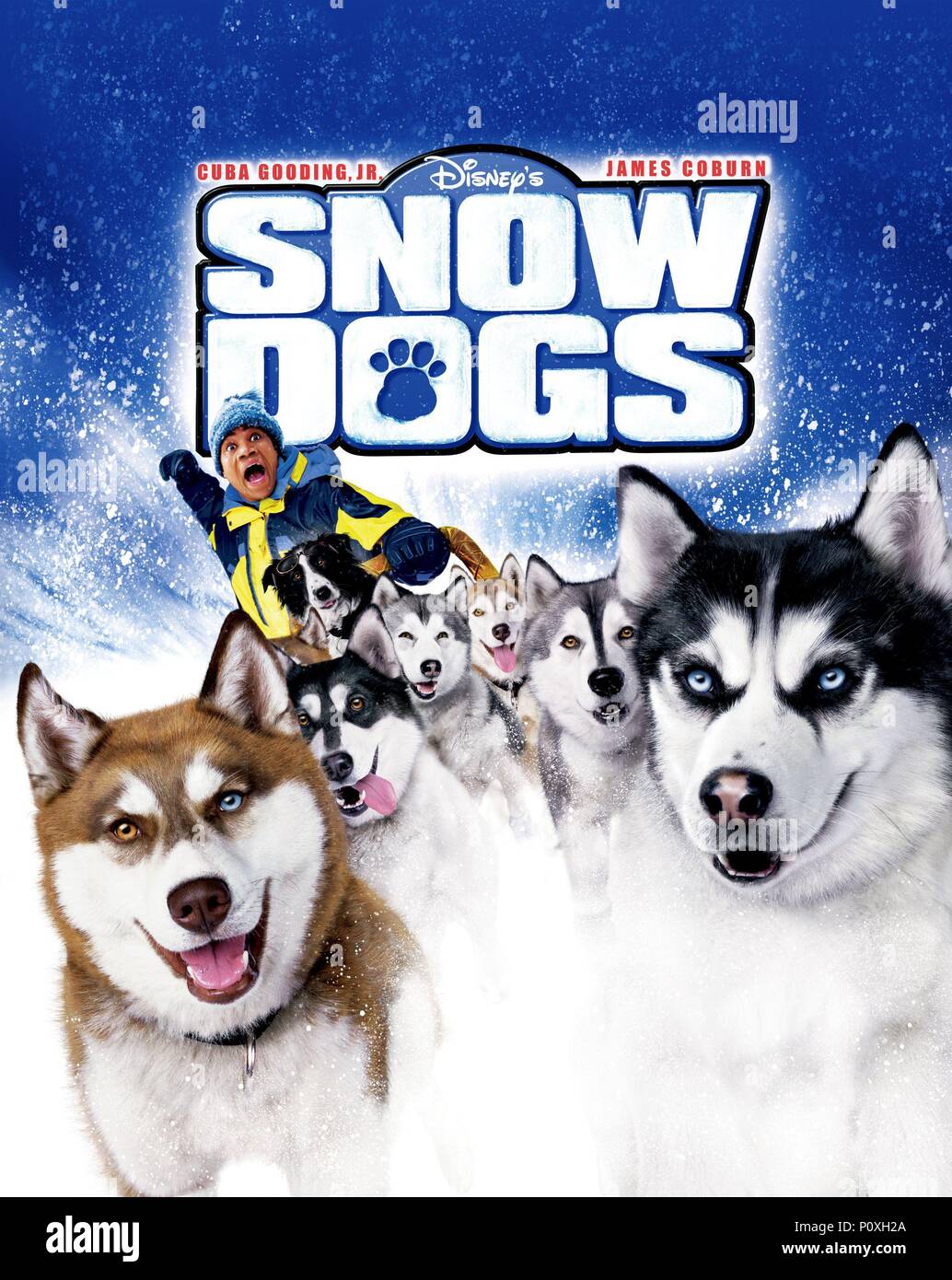 El título original de la película: perros de nieve. Título en inglés: perros  de nieve. El director de cine: Brian LEVANT. Año: 2002. Crédito: Walt  Disney Pictures / Álbum Fotografía de stock - Alamy
