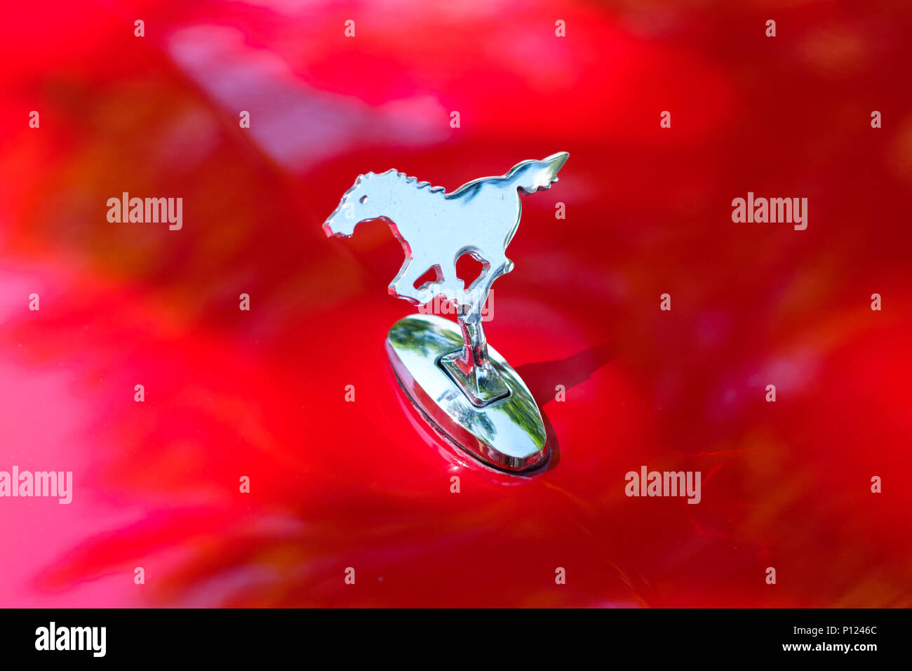 Berlín, Alemania- Junio 09, 2018: Primer plano del caballo emblema / diseño de logotipo en rojo de un capó de motor Ford Mustang oldtimer Foto de stock