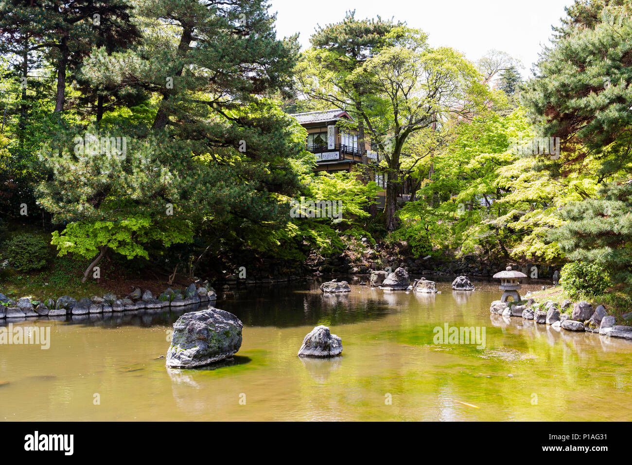 Maruyama Park y el estanque en el barrio de Higashiyama, Kyoto, Japón Foto de stock