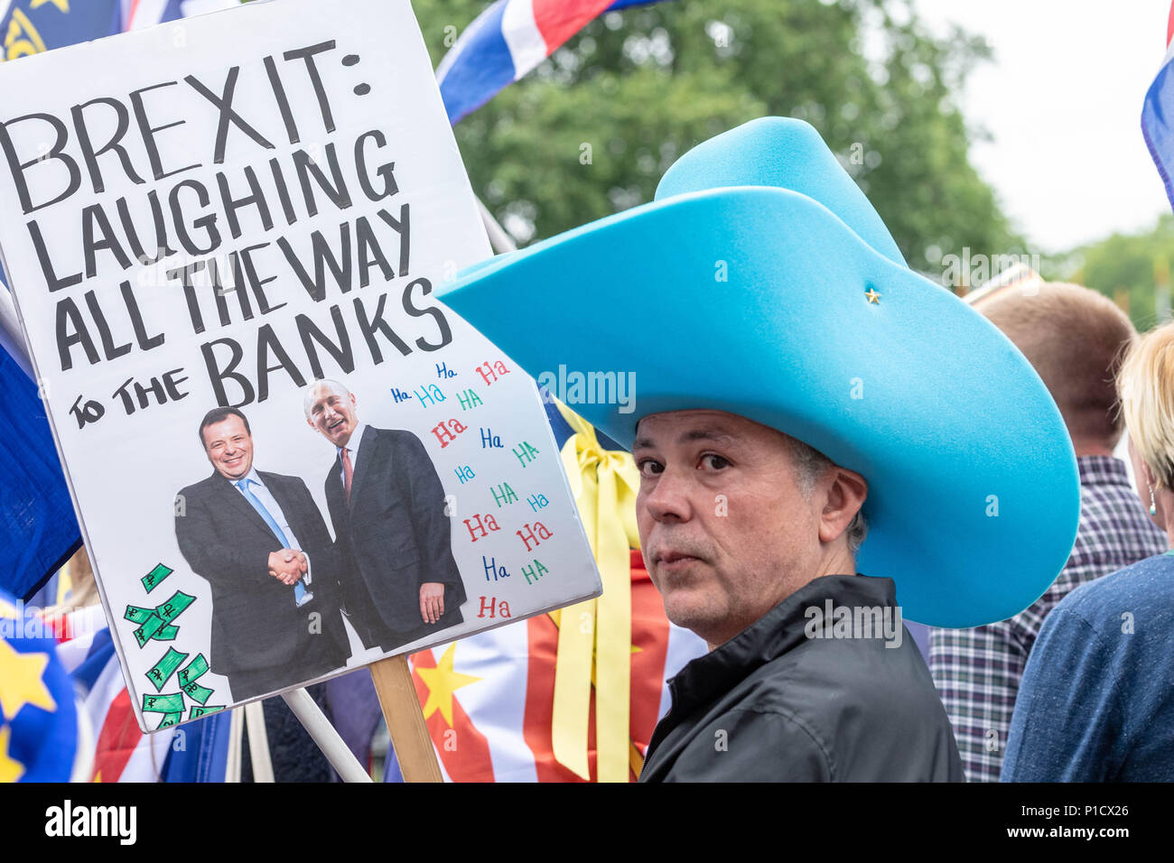 Londres, 12 de junio de 2018, Brexit protesta fuera de la Cámara de los Comunes de Londres Ian Davidson Crédito/Alamy Live News Foto de stock