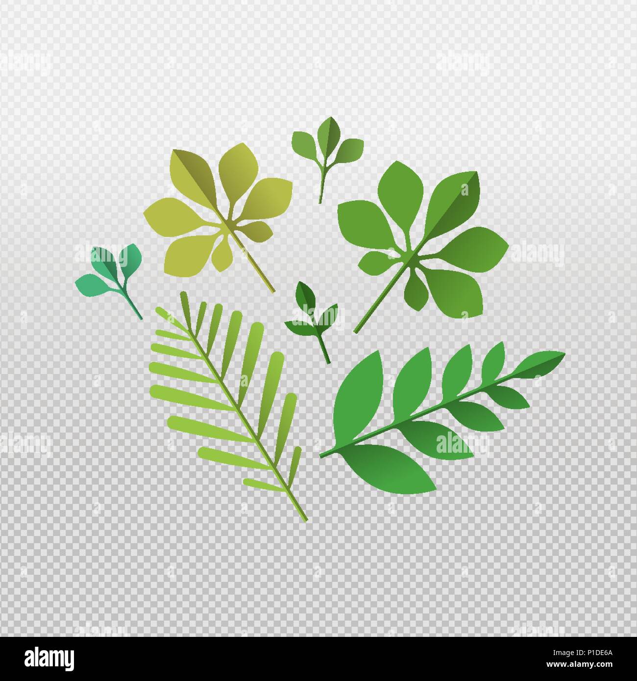 Conjunto de hojas verdes tropicales sobre fondo transparente. Hojas de verano aislado de exóticas palmeras y plantas de la selva. Vector EPS10. Ilustración del Vector