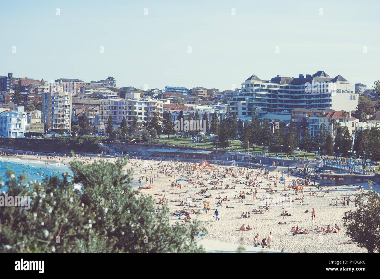 Bondy Beach Sydney Australia Foto de stock