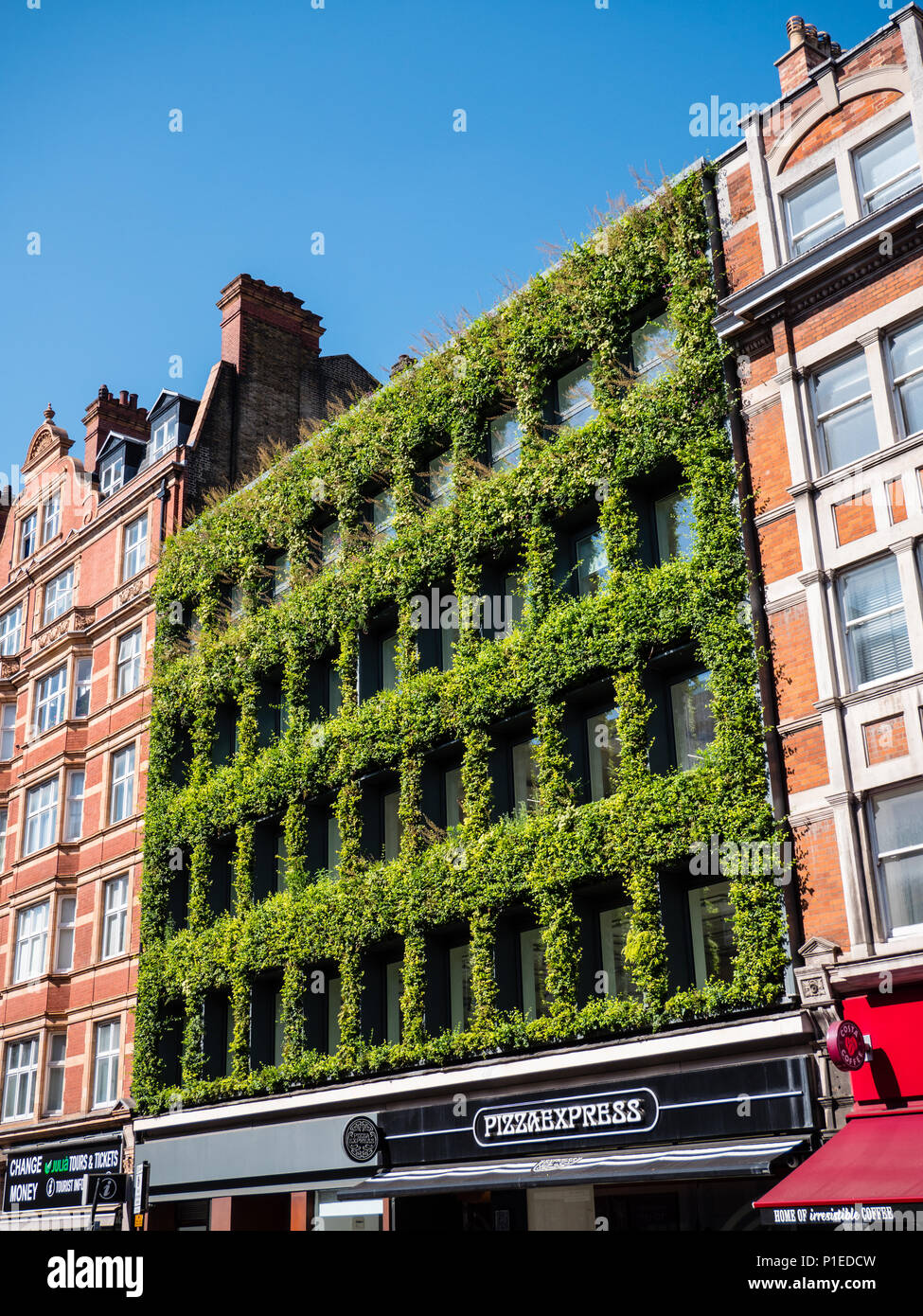 Pared verde, Southampton Row, London, England, Reino Unido, GB. Foto de stock