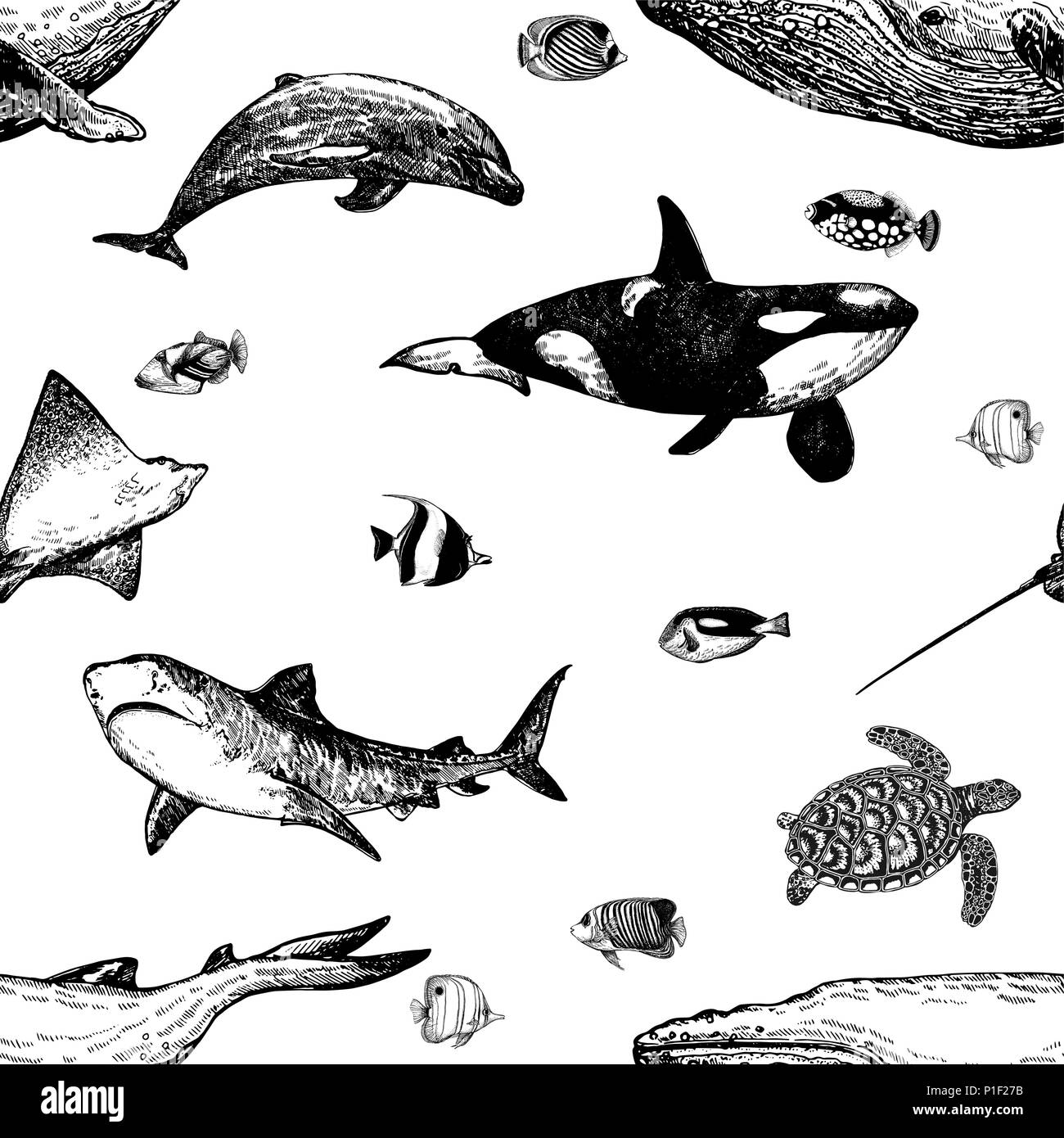 Trama perfecta de estilo boceto dibujados a mano de animales marinos y peces tropicales aislado sobre fondo blanco. Ilustración vectorial. Ilustración del Vector