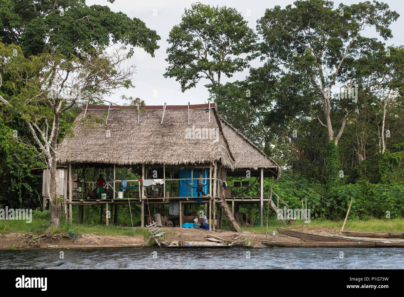 Una vivienda familiar en el Río Pacaya, Superior de la cuenca del río Amazonas, Loreto, Perú Foto de stock