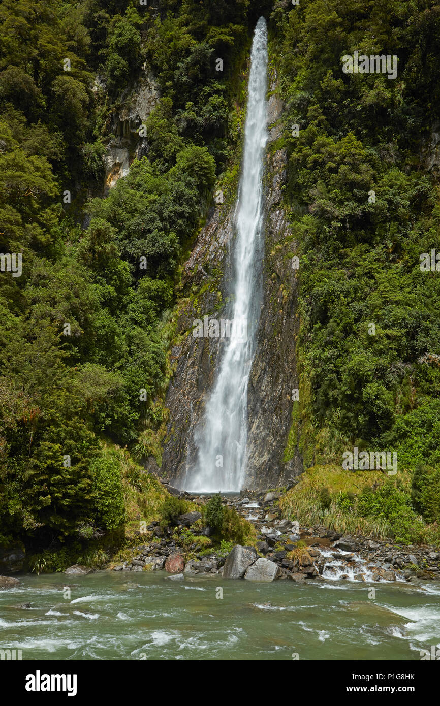 Thunder Creek Falls & Río Haast Haast Pass, Mt aspirantes a Parque Nacional, Costa oeste, Isla del Sur, Nueva Zelanda Foto de stock