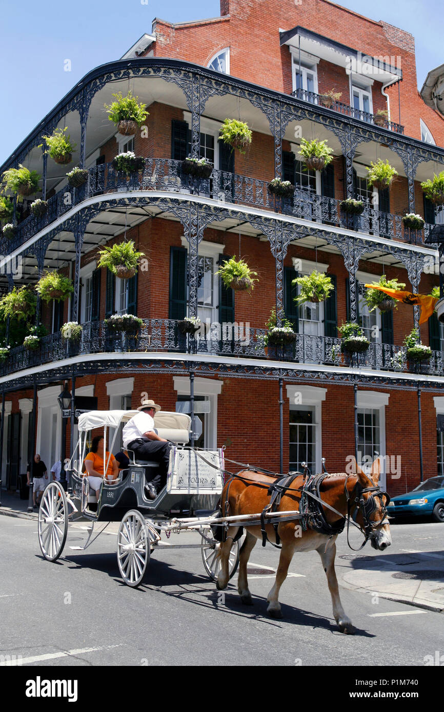 Carruaje viaje de turismo, en la esquina de Royal & Dumaine Street, el Barrio Francés de Nueva Orleans, Luisiana, EE.UU. Foto de stock
