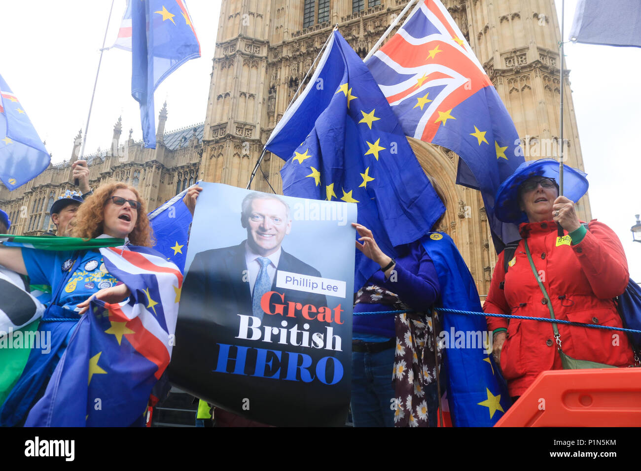 Londres, Reino Unido. 12 de junio de 2018. Pro UE y detener manifestantes Brexit permanecen fuera del Parlamento como miembros del Parlamento están configurados para iniciar la votación sobre las enmiendas a la Ley de retirada de la UE presentada por la Cámara de los Lores de crédito: amer ghazzal/Alamy Live News Foto de stock