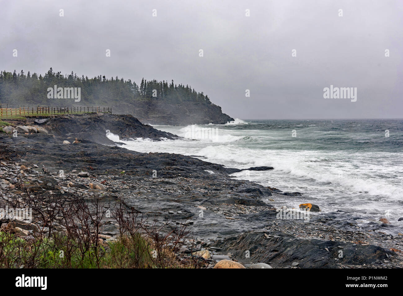 Stormy weather en Parque Natural, hornos de microondas, Carretera Riverport, Nova Scotia, Canadá Foto de stock