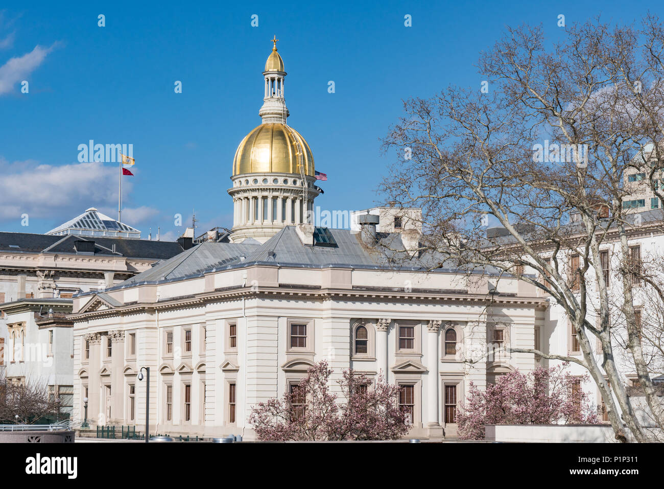 El edificio del capitolio estatal de Nueva Jersey en Trenton Foto de stock