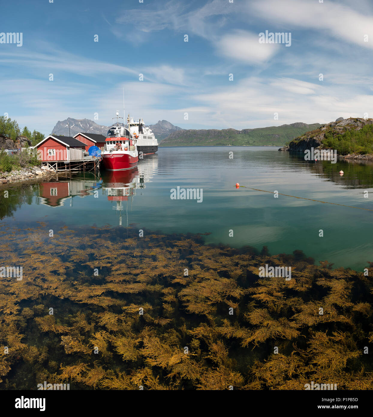 Paisaje costero en Kilboghaven, Noruega. Foto de stock