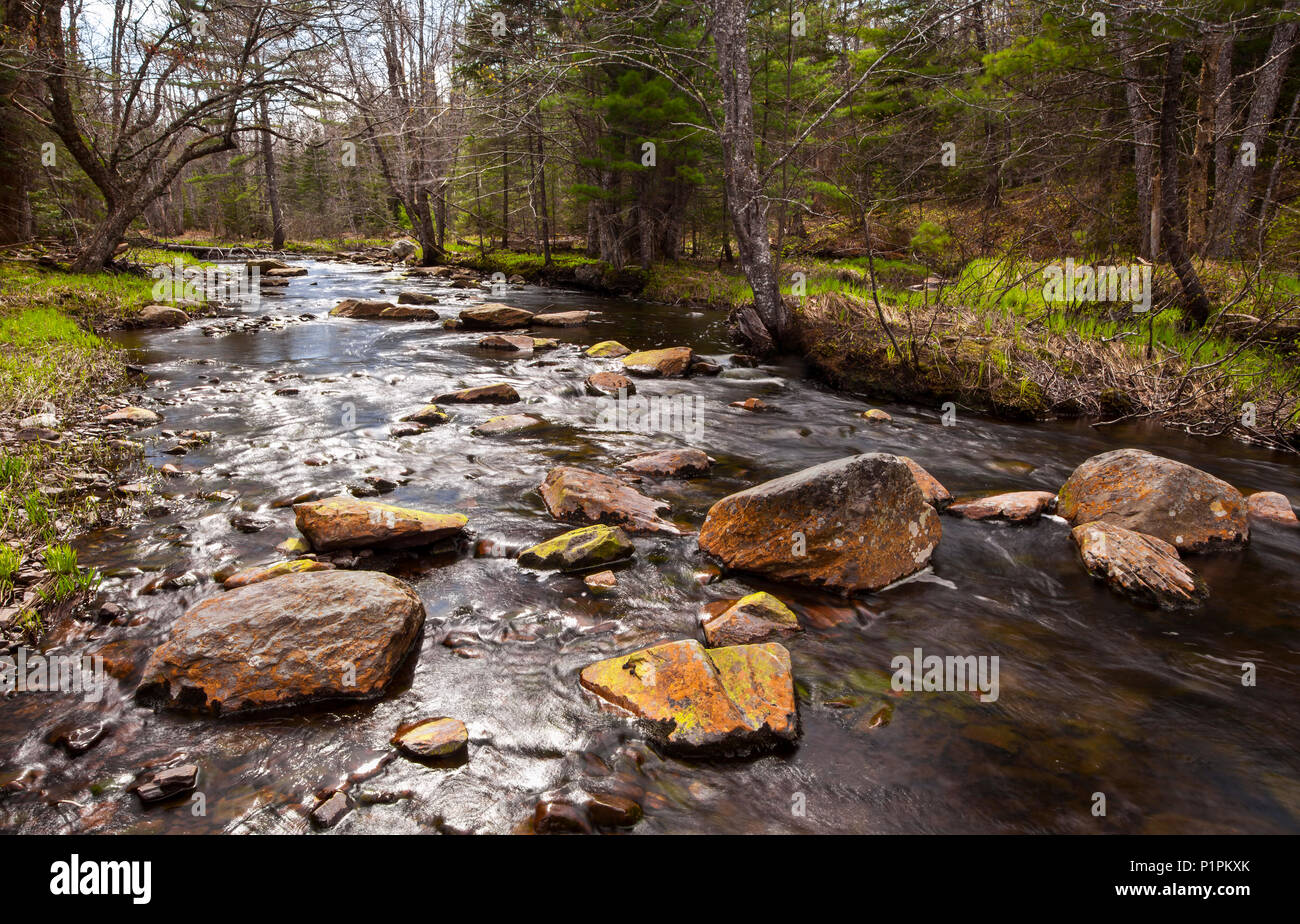 Reyes arroyo fluye alrededor de rocas, Nova Scotia, Canadá Foto de stock