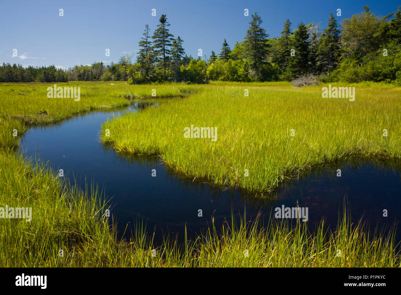 Estuario costero en Puerto Joli Harbour, Nova Scotia, Canadá Foto de stock