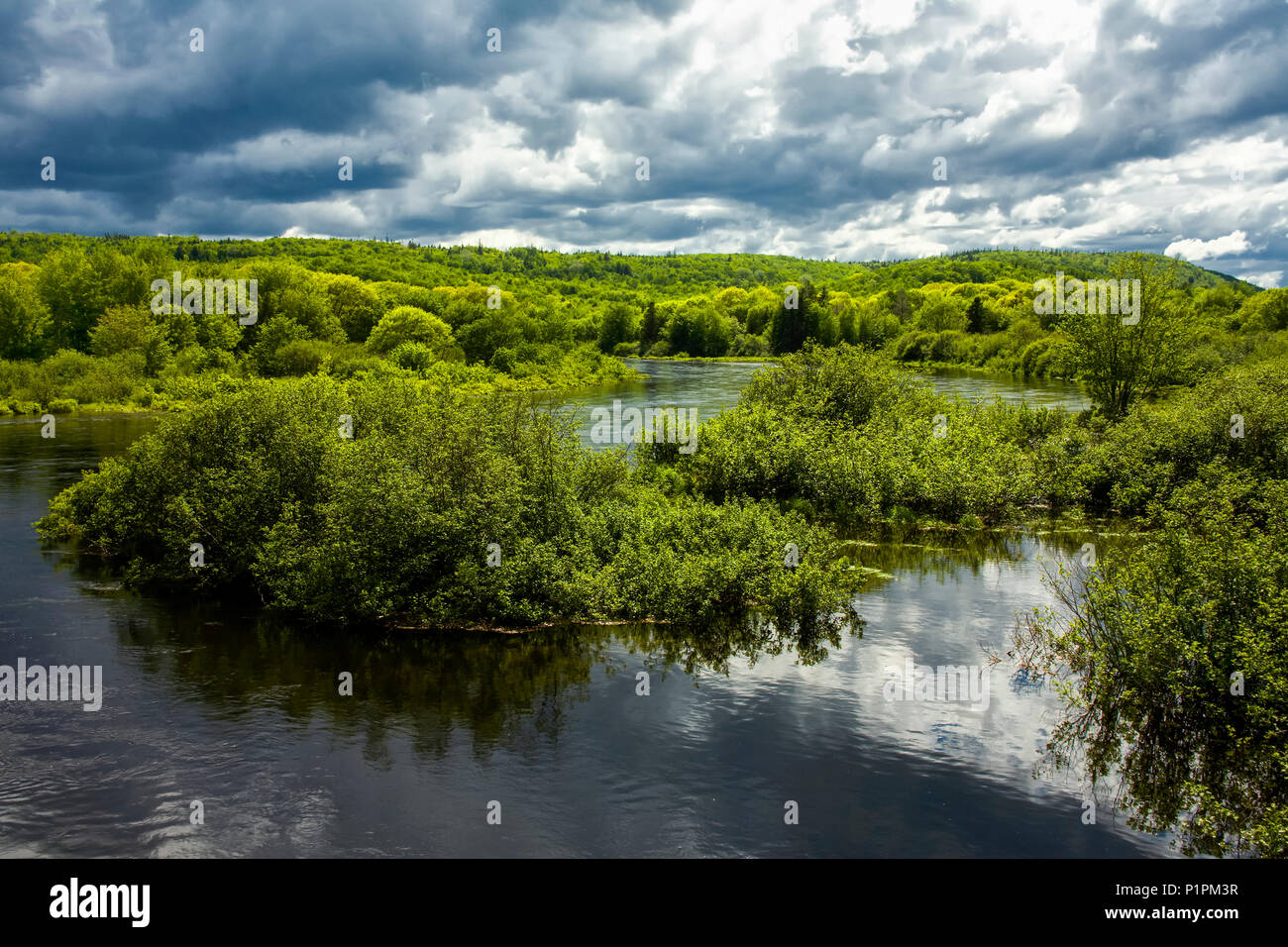 Sección inundada en el Río Santa María en primavera; Glenelg, Nova Scotia, Canadá Foto de stock