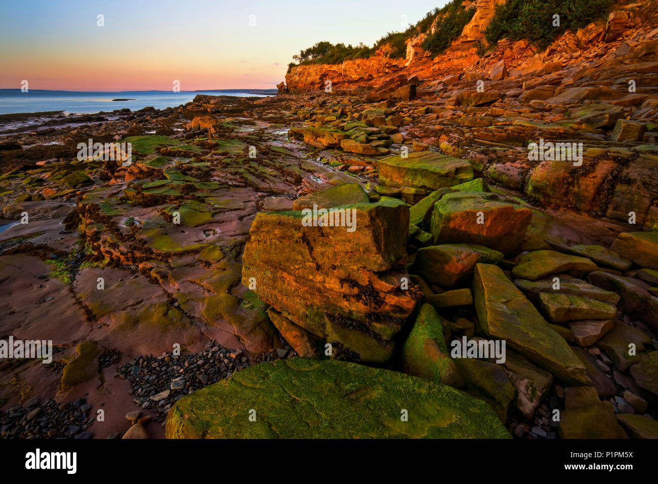 Las algas y rocas de color costa durante la marea baja en la última luz del atardecer, cerca de la cabeza de arándano, Raven jefe salvaje en la Bahía de Chignecto Foto de stock