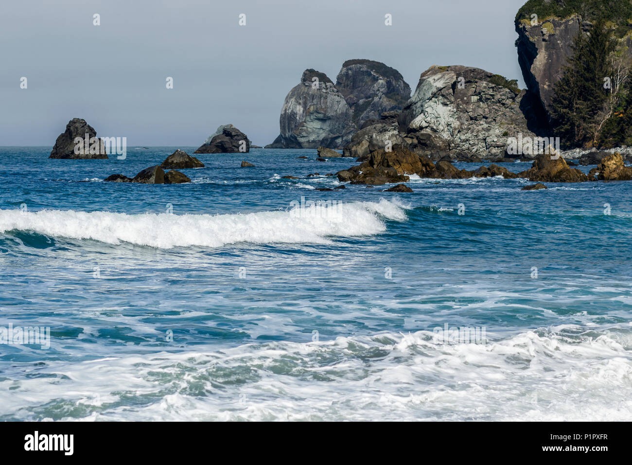 Olas rompiendo en tierra a lo largo de la rocosa costa de California; Crescent City, California, Estados Unidos de América Foto de stock
