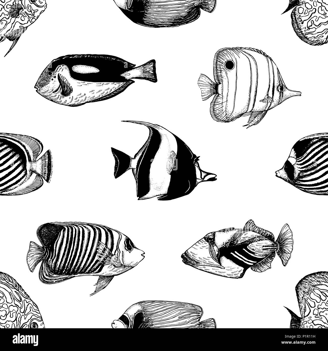 Trama perfecta de estilo boceto dibujados a mano peces tropicales aislado sobre fondo blanco. Ilustración vectorial. Ilustración del Vector