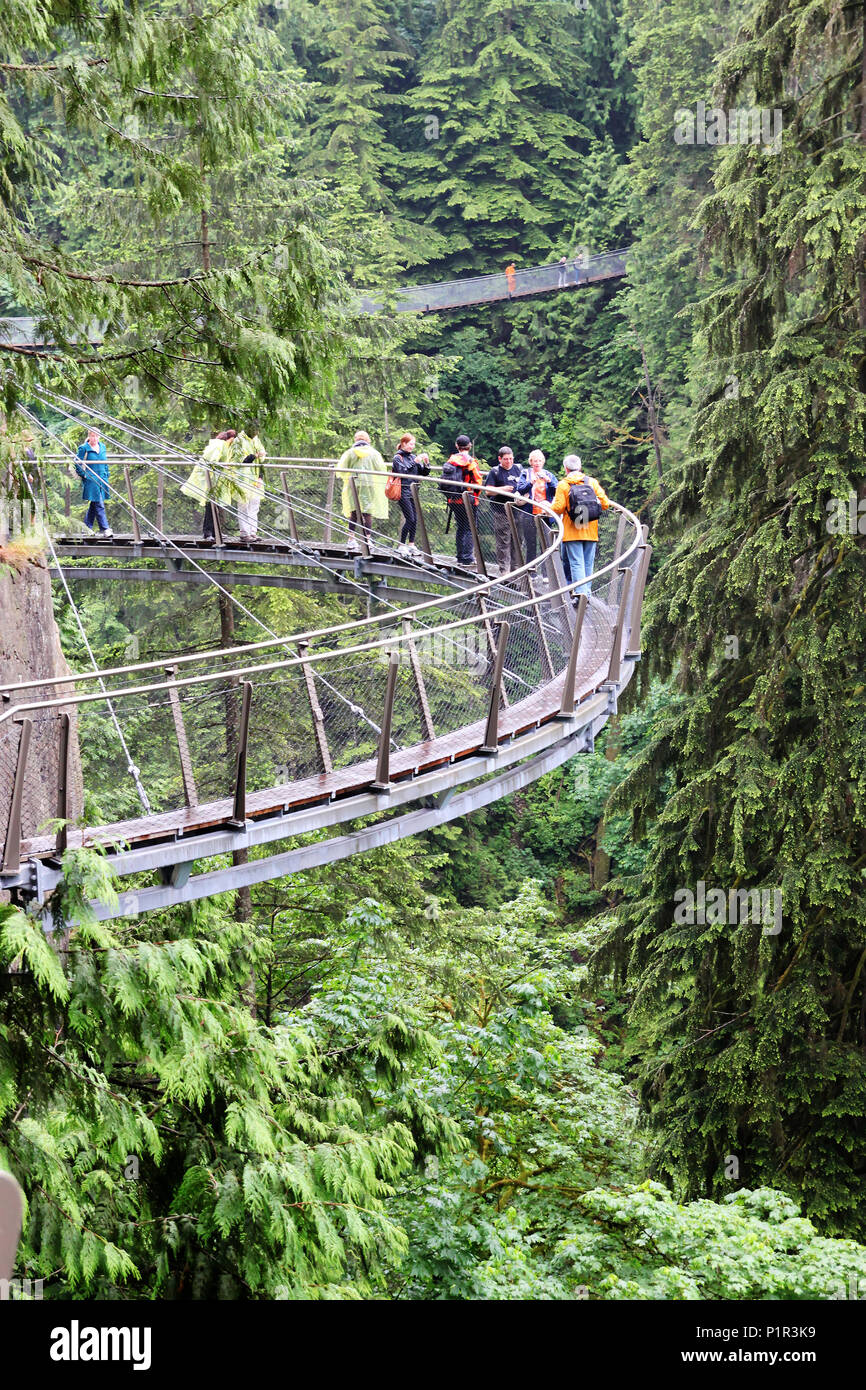 VANCOUVER - jun 29, 2011: Los visitantes explorar Vancouver Capilano Cliff Walk a través de la vegetación selvática, un voladizo y pasarela colgante clavadas Foto de stock