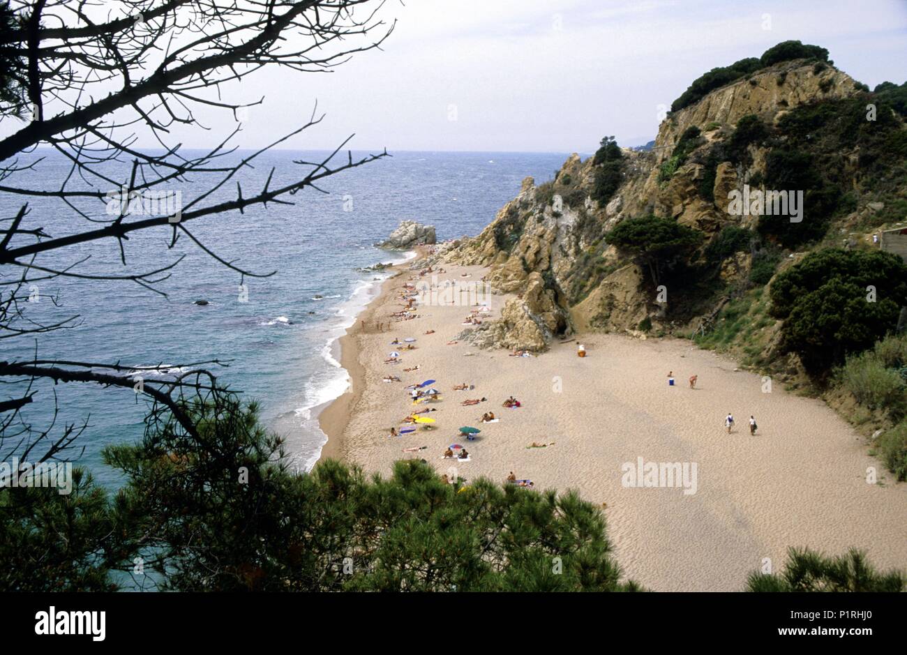 Download Logotips de la platja de la verema HD
