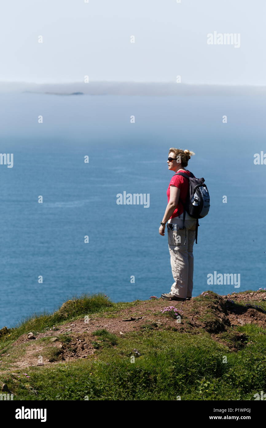 Caminante en busca hembra a la ruta de la costa de Pembrokeshire Isla Skokholm Gales pembrokeshire Foto de stock