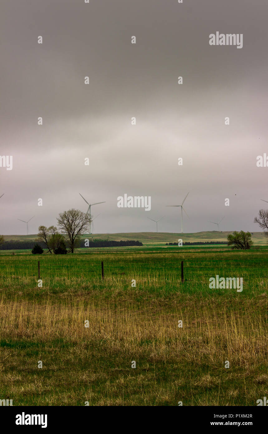 Las turbinas eólicas proporcionan un telón de fondo de un frío día de la primavera en los médanos de Nebraska. Abundante lluvia trae un dramático reverdecer a las praderas y colinas. Foto de stock