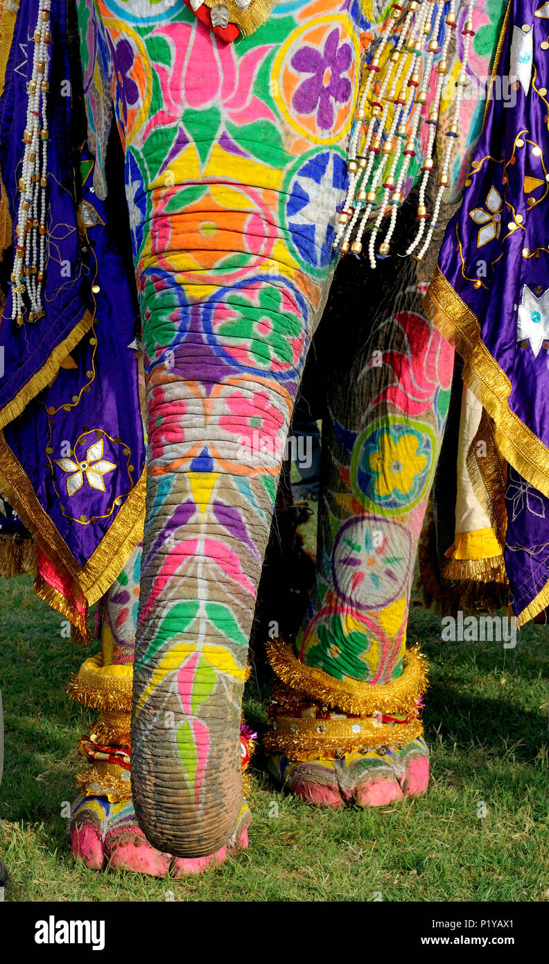 https www alamy es la india rajastan jaipur decorado de la trompa de elefante y cascos image207740345 html