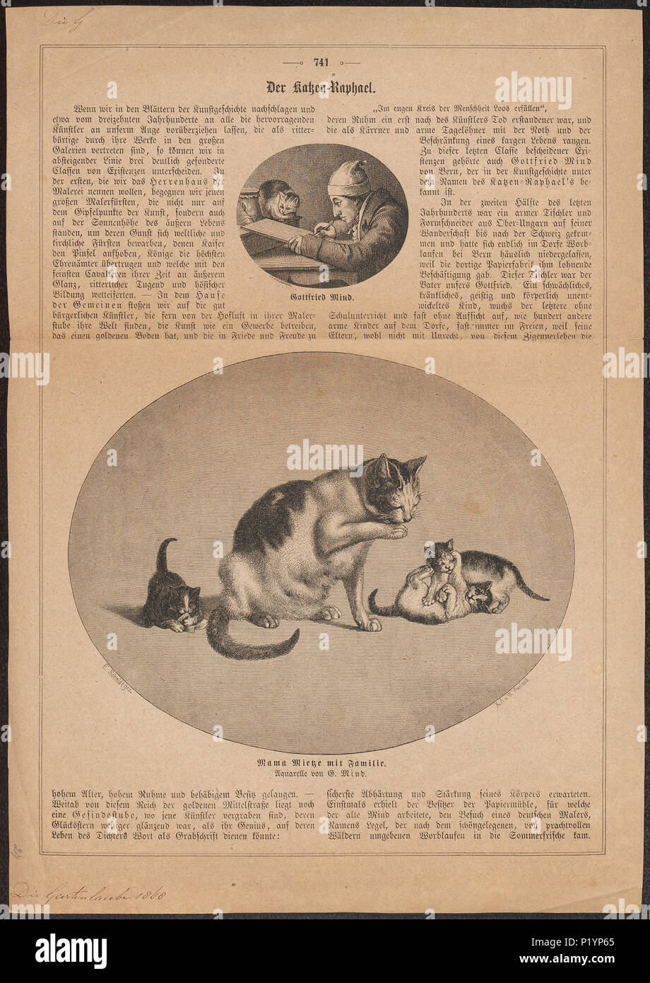 . Felis catus . 1868 123 Felis catus - 1868 - Impresión - Iconographia Zoologica - Colecciones Especiales de la Universidad de Ámsterdam - UBA01 IZ22100270 Foto de stock