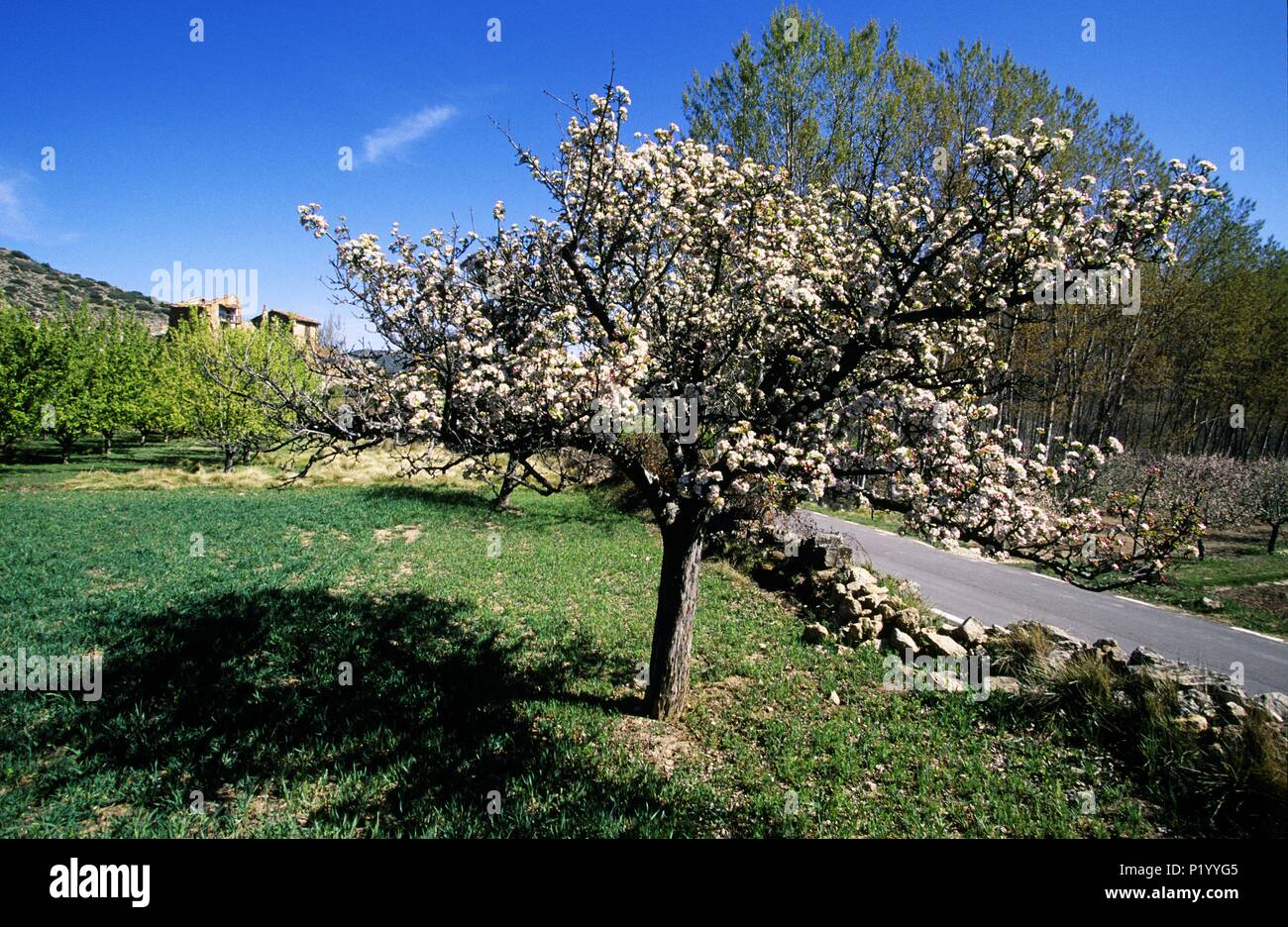 Distrito rincon de ademuz fotografías e imágenes de alta resolución Alamy