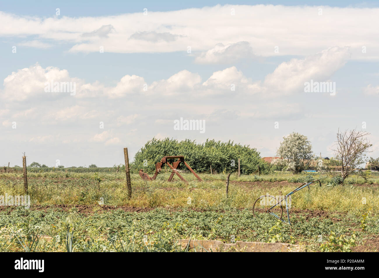 Paisaje rural. Mano caseras y el cultivador arado oxidado en el jardín  Fotografía de stock - Alamy