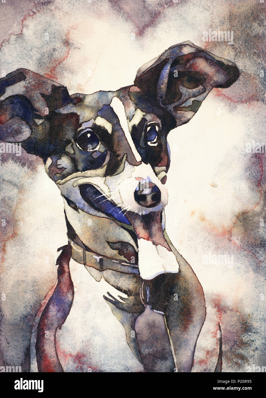 Acuarela de Jack Russell terrier sonriendo. Ilustración del perro, perro  pintura acuarela impresión fine art Fotografía de stock - Alamy
