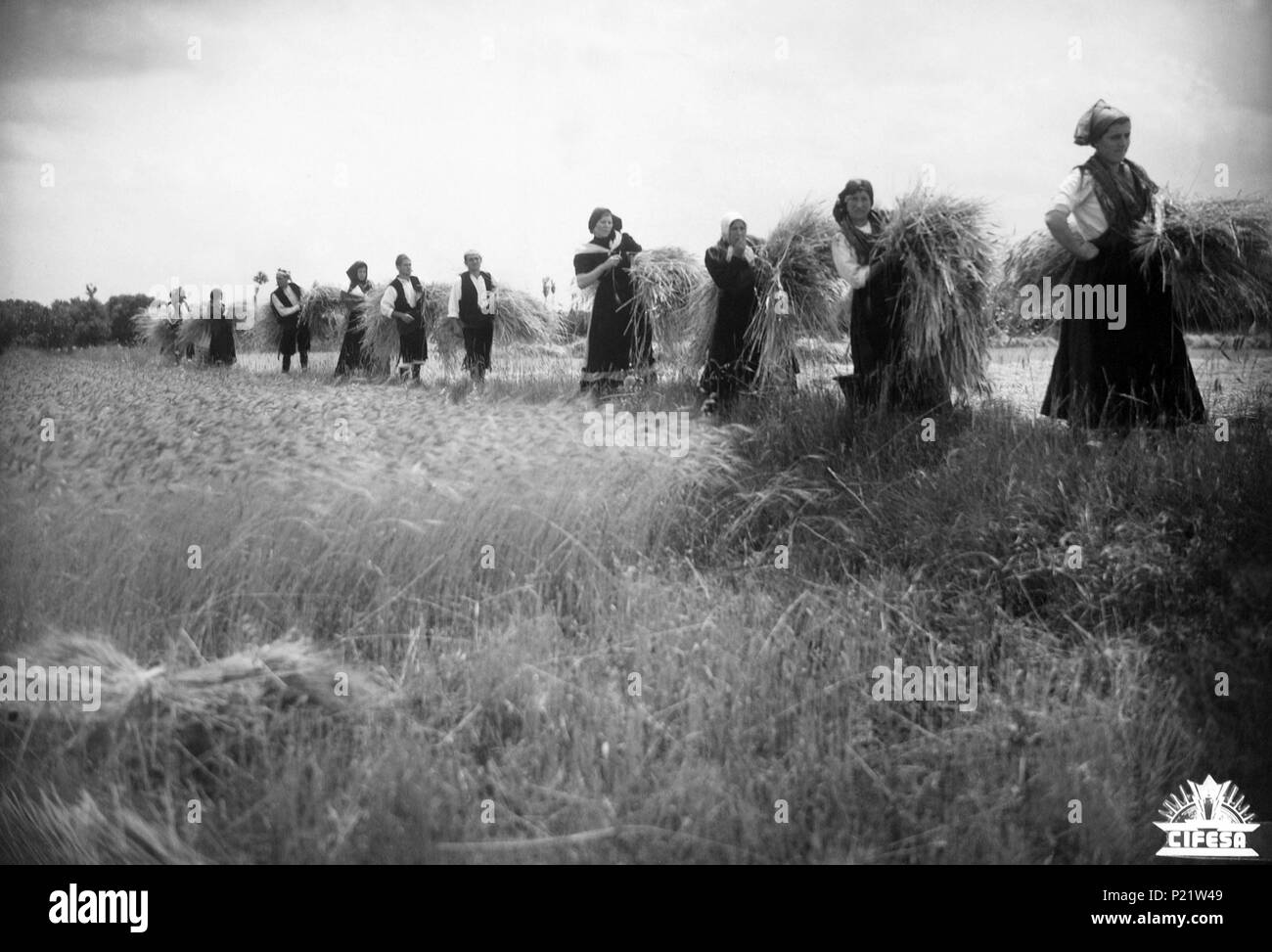 El título de la película original NOBLEZA BATURRA. Título en inglés