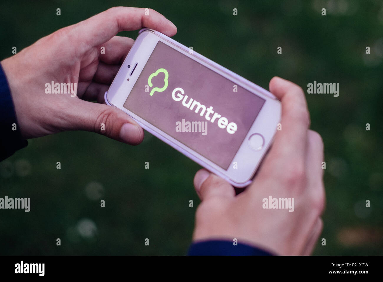 Primer plano de manos sosteniendo el iPhone con pantalla GUMTREE logotipos e iconos Foto de stock