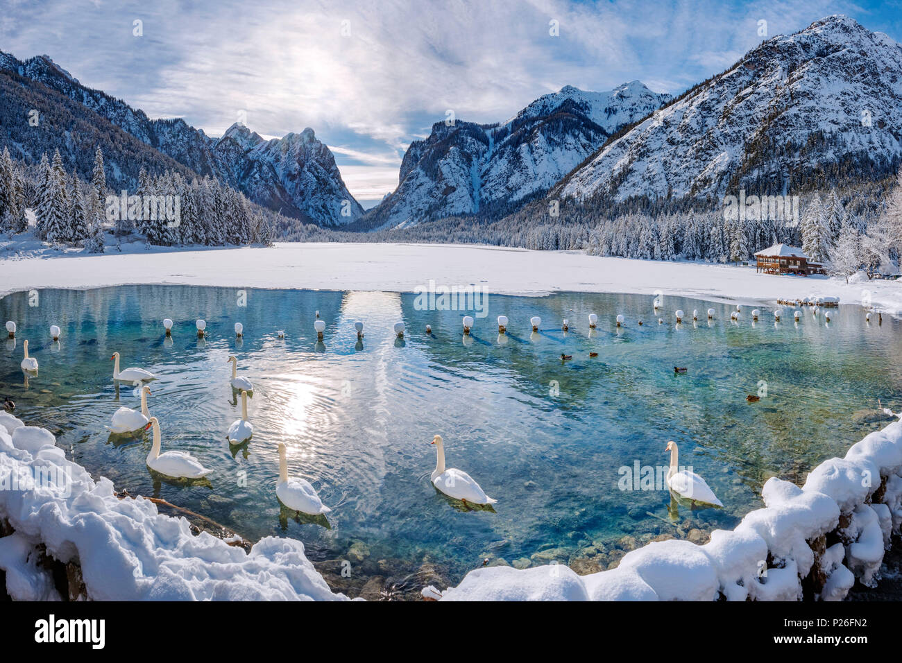 Winter Lake - Il Segreto Del Lago