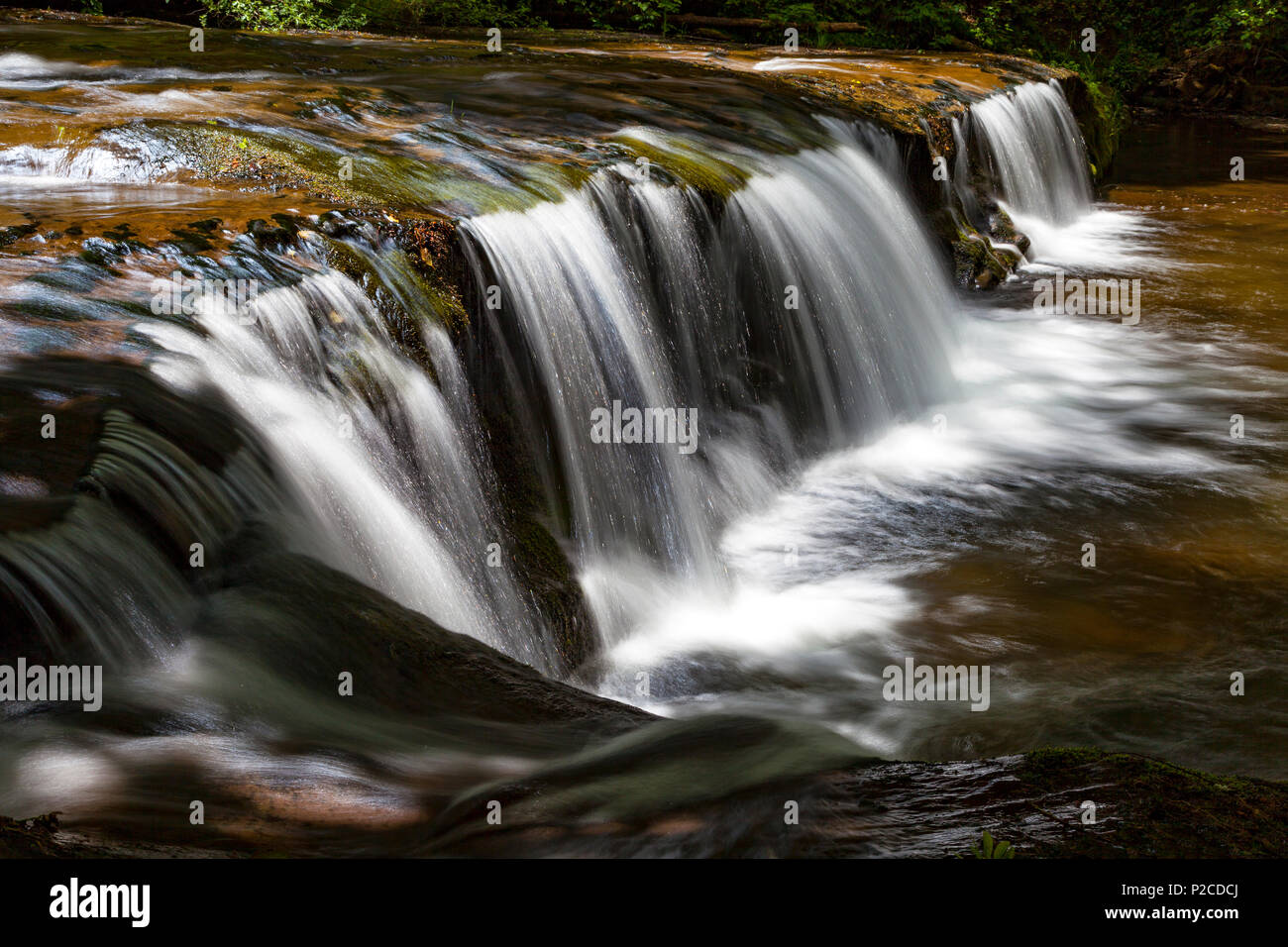 Una de las muchas cascadas y saltos de agua dulce a lo largo del arroyo en Oregon Suislaw National Forest. Los caminantes a lo largo de la dulce Creek Trail encontrará 11 wa Foto de stock