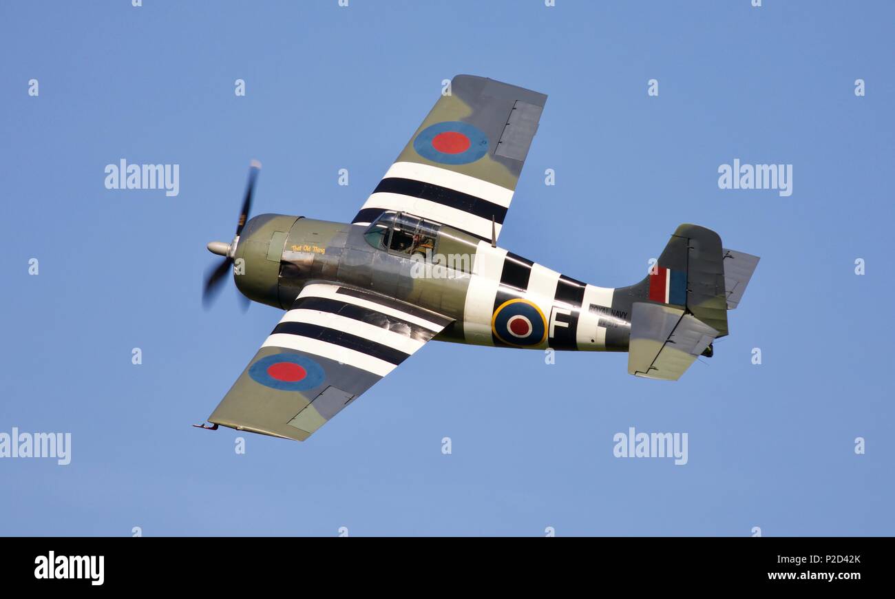 Grumman Wildcat FM2 - American carrier-based aviones de combate utilizados  por la Marina de los Estados Unidos y la Royal Navy en la Segunda Guerra  Mundial Fotografía de stock - Alamy