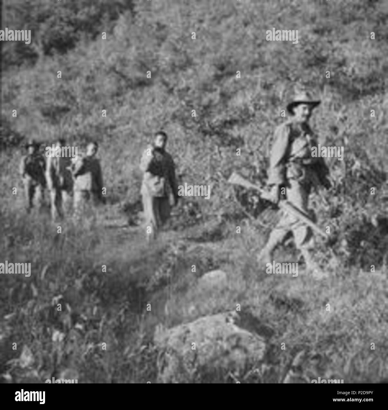 . AWM Título: Corea. De octubre de 1951. En las fuerzas de la ONU de octubre de ofensiva, las tropas australianas fueron destacados entre las tropas de la División de la Commonwealth que encabezaron el avance de la ONU. Bajas chinas eran pesadas, y estos tres prisioneros de guerra (POW), caminando entre dos soldados australianos no identificados, fueron lo suficientemente inteligentes como para rendirse. Salen de la línea del frente y hacer su camino a la zona trasera de ECHELON. Los soldados australianos son del 3º Batallón, el Royal Australian Regiment (3RAR). c. De octubre de 1951. Hobson, Phillip Oliver 13 chino PWs Operación Comando Oct 1951 (AWM HOBJ2431) Foto de stock