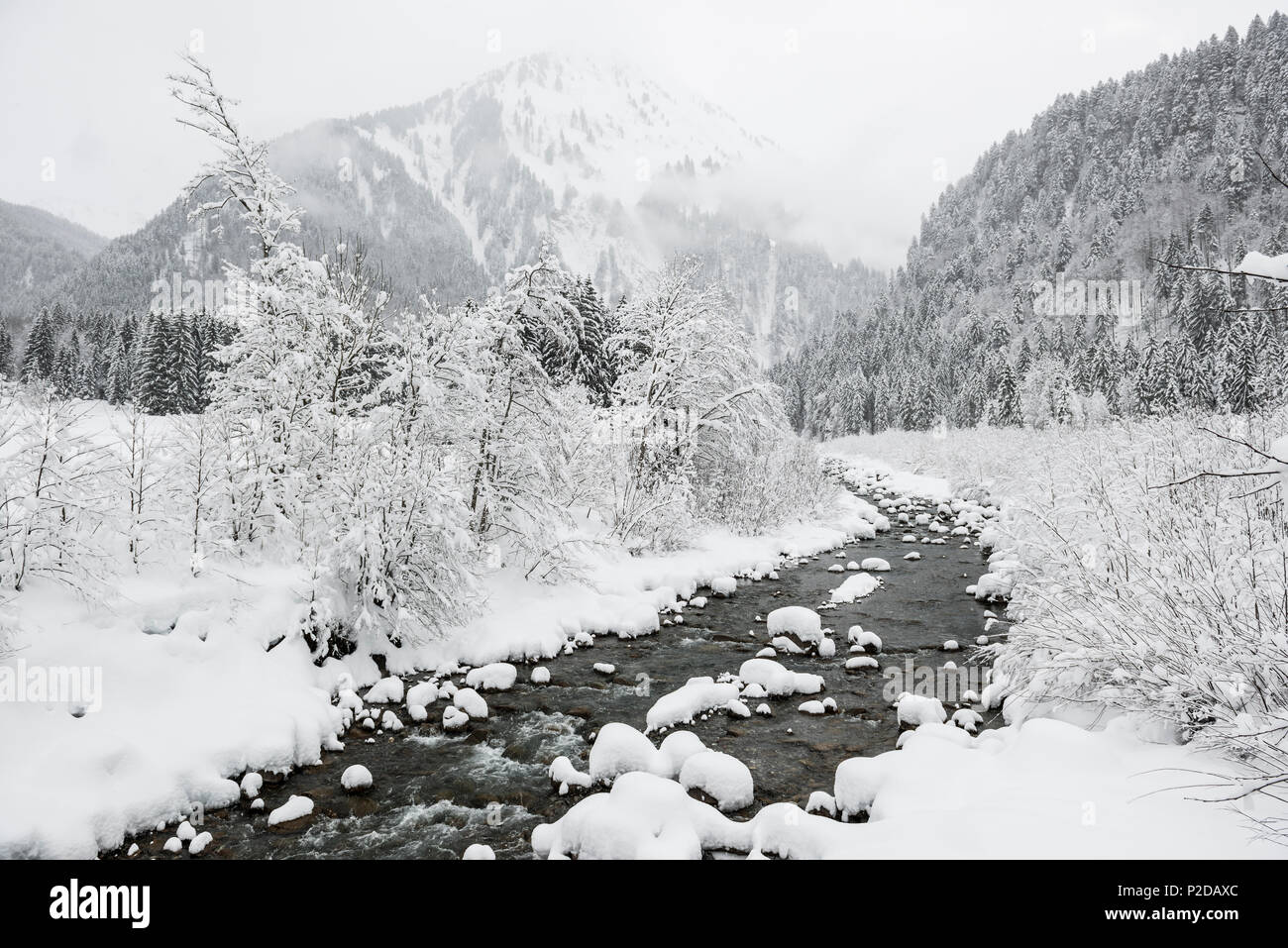 Lecho cubierto de nieve cerca de Schoppernau, Bregenz, distrito de Vorarlberg, Austria Foto de stock