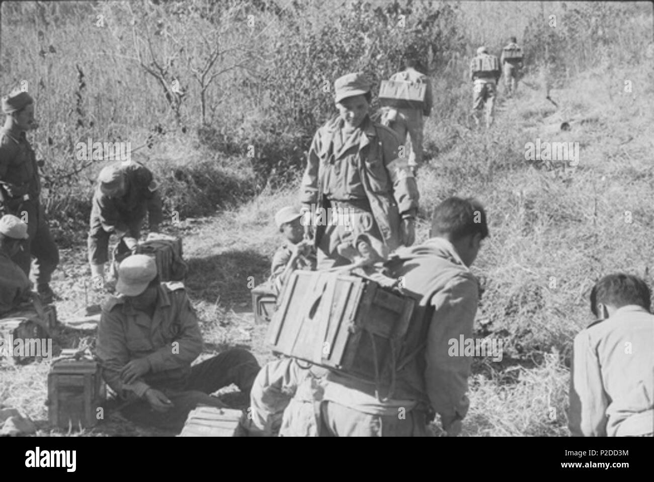 . AWM Descripción: Después de un descanso, un grupo de transportistas de Corea volver sus cargas a sus espaldas y siguen en una larga caminata en colinas en Corea. Probablemente pertenecen a un coreano Service Corps y están llevando cajas de madera y metal de suministros y municiones, posiblemente para el 3º Batallón, el Royal Australian Regiment (3RAR). Un soldado no identificado (izquierda) está supervisando las compañías coreanas, que vestían uniformes de estilo militar con tapas. c. De noviembre de 1951. Hobson, Phillip Oliver 29 Nov 1951 cargadores coreano (AWM HOBJ2563) Foto de stock