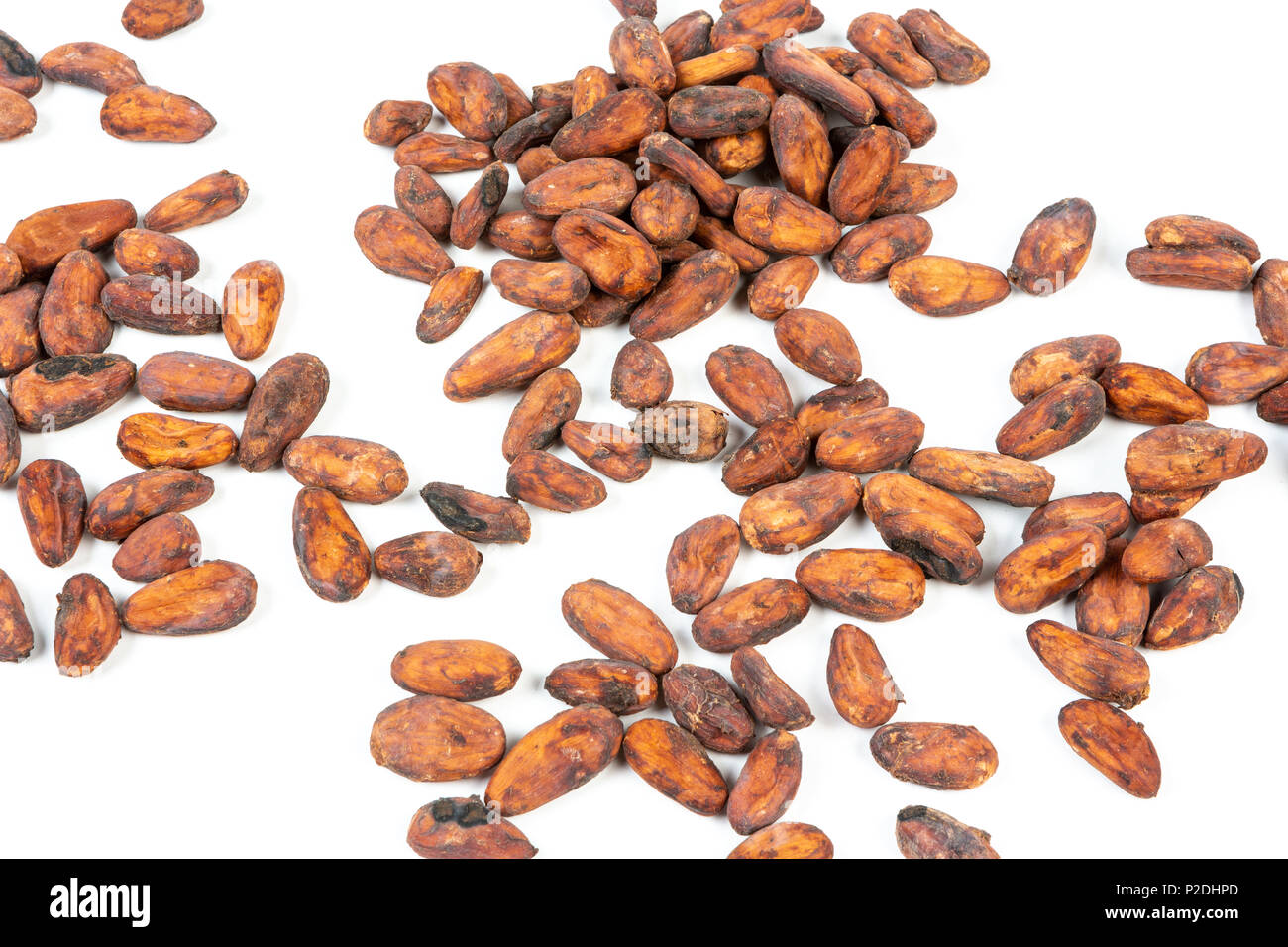 Cerca de cacao en grano fresco sobre fondo blanco. Foto de stock