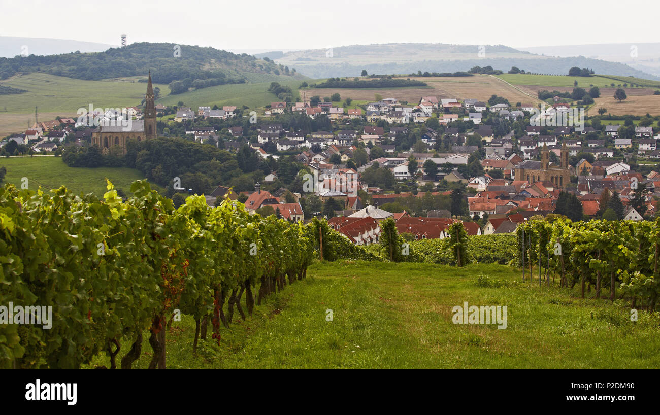 Ver más viñedos en Waldboeckelheim con la iglesia protestante a la izquierda y derecha de la Iglesia Católica, distrito administrativo de mala Kre Foto de stock